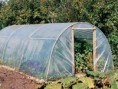 Polytunnel Course